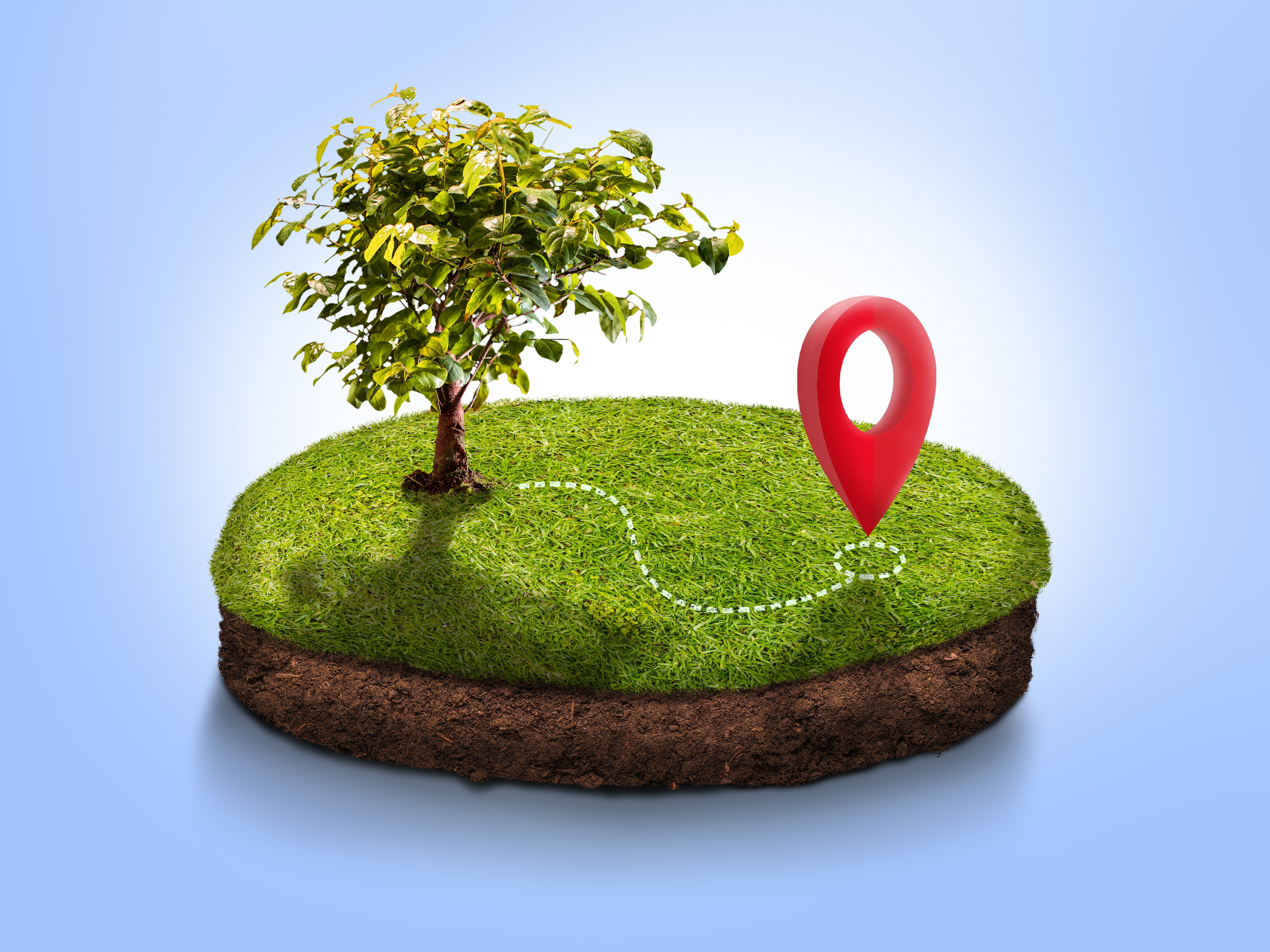 Ecology and Forestry